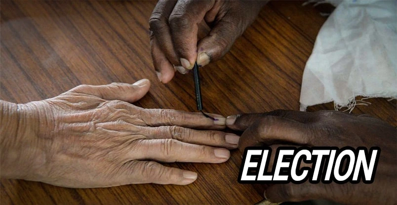 91 exch mobile-friendly betting platform