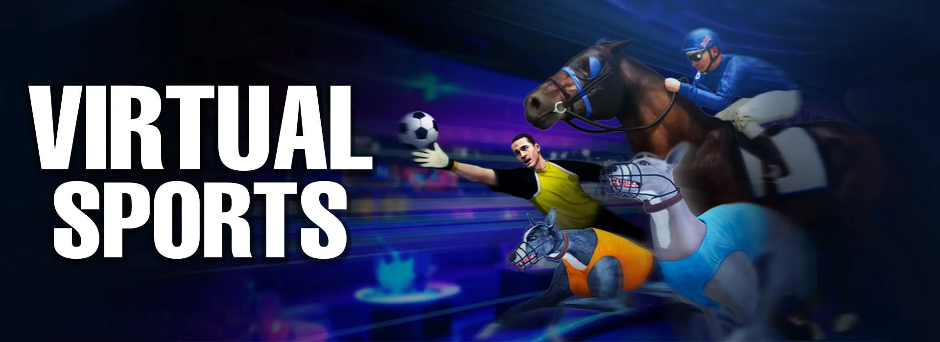 91exch online betting for sports lovers